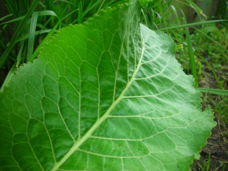 krienai nuo gimdos kaklelio osteochondrozės